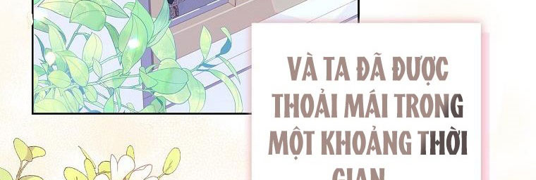 tiểu thư chỉ muốn được nghỉ ngơi chapter 56 52