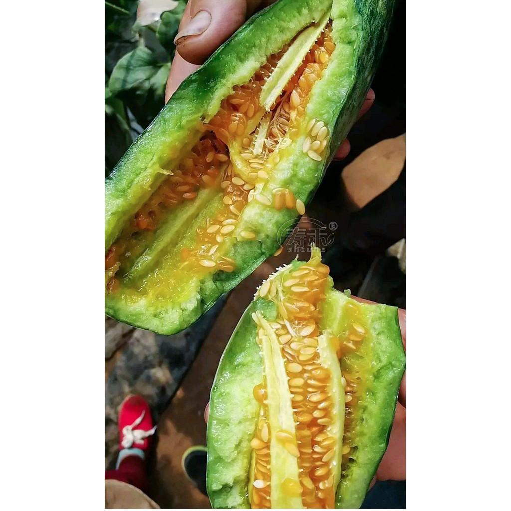 Hạt giống Dưa lê quả dài Yang Jiao Mi F1 - Dưa lê chuối 0.3gr/gói