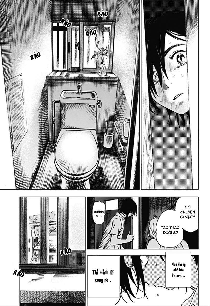 summer time render chapter 8 6