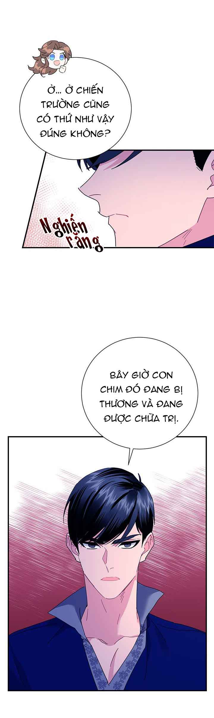 công chúa của loài chim chapter 42.2 8