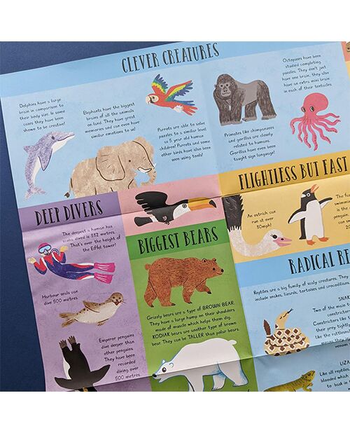 Laege Question and Answer Flap Book - Animals by  Rachel Moss