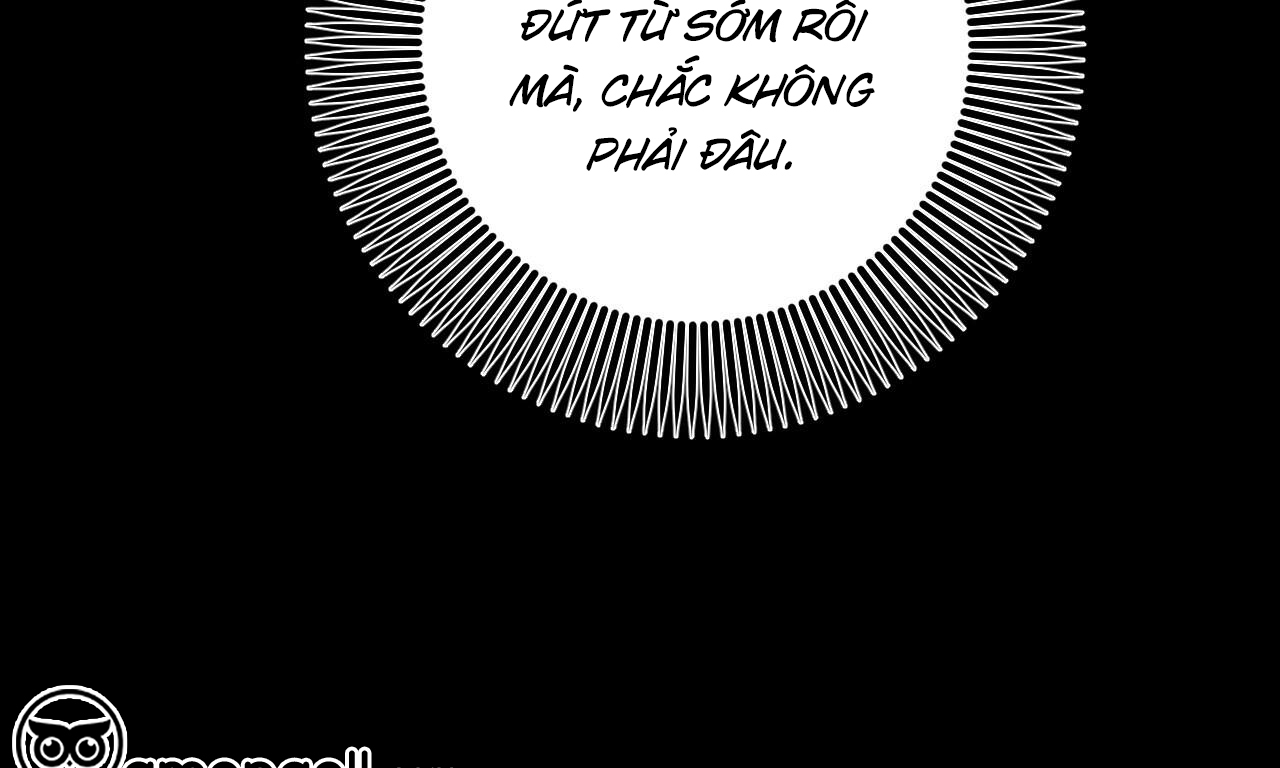 những chú thỏ của hapypy chapter 56 14