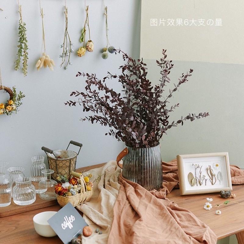 Hoa lá khô bạch đàn Eucalyptus trang trí cắm hoa, decor nhà cửa, chụp hình sản phẩm