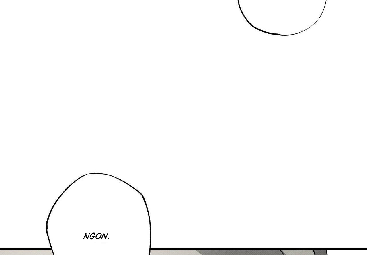 chàng giao pizza và gold palace chapter 40 131