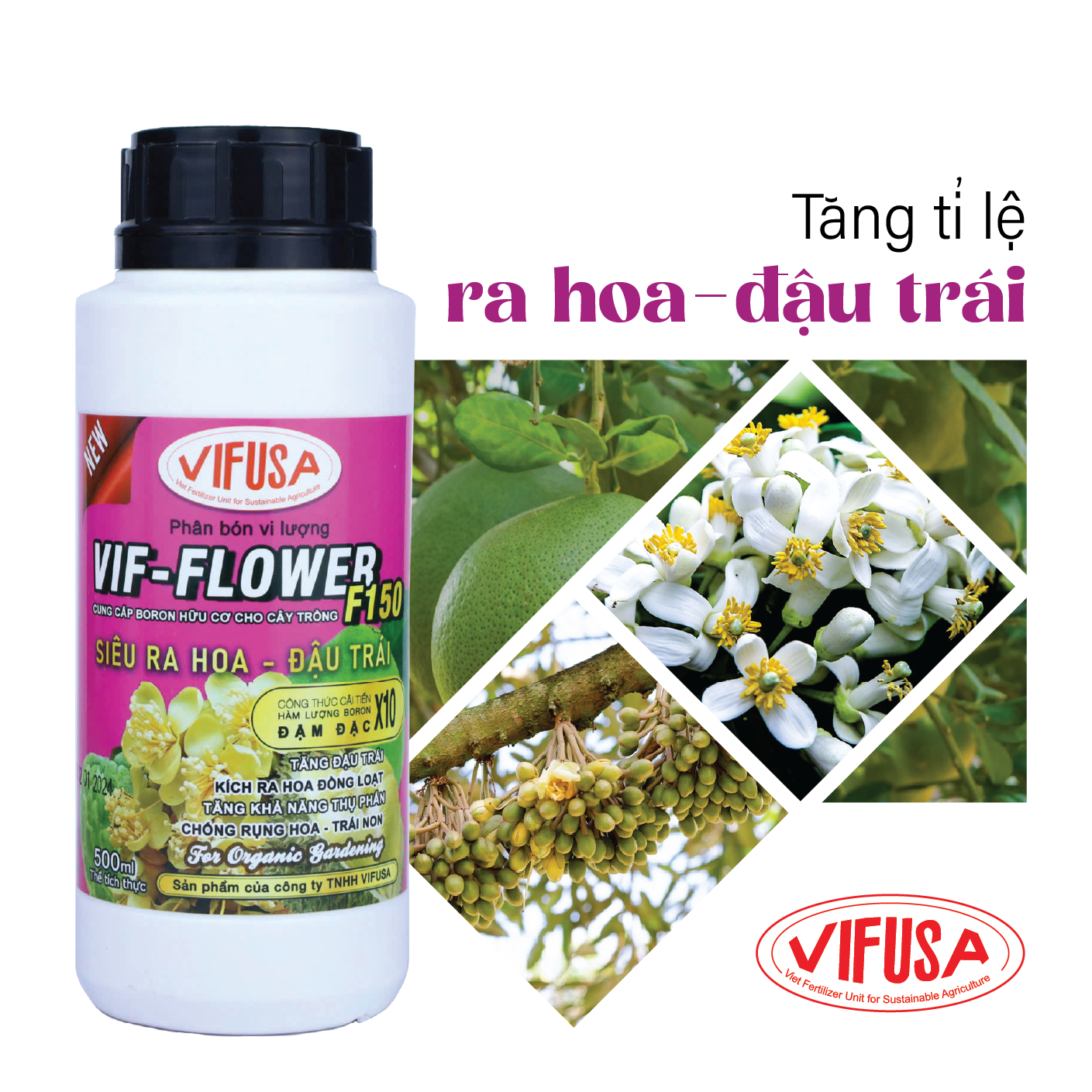 VIF-FLOWER - Phân bón Boron F150 chai 500ml