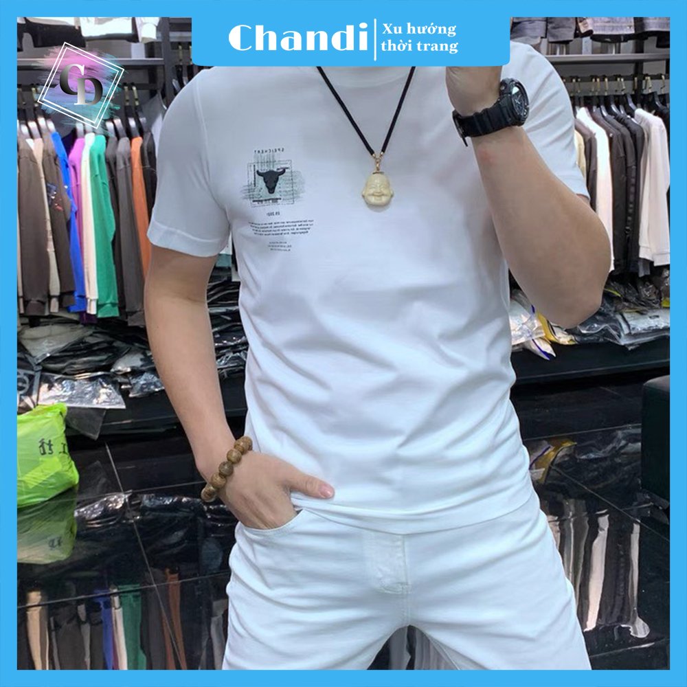 Áo Thun Nam Ngắn Tay Chandi, Chất Thun Cotton Xịn Mẫu Mới NT20