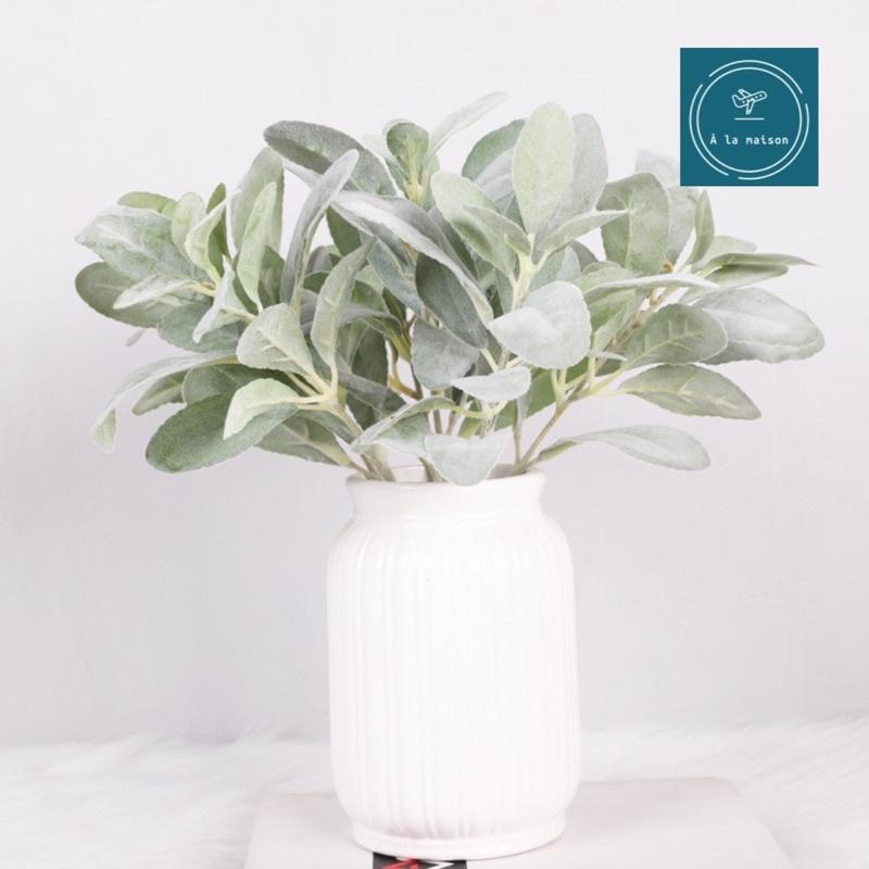 Cành lá tai thỏ phủ bạc đẹp sang trọng dùng trong thiết kế trang trí, hoa cưới, hoa cô dâu, hoa lụa cao cấp
