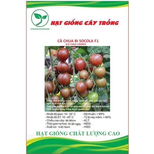 Hạt Giống Cà Chua Socola F1 F1 CT280 - Gói 30 hạt