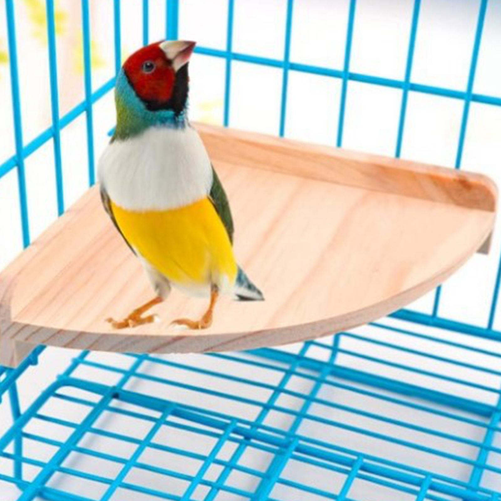 Hamster Cage Corner Platform Wooden Stand Chinchilla Small Animal Parrot