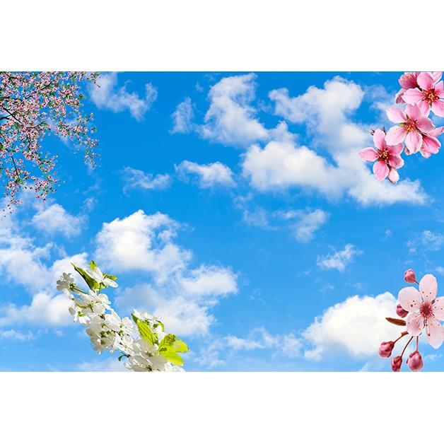 Tranh dán tường 3D trần nhà bầu trời - vải lụa phủ kim sa