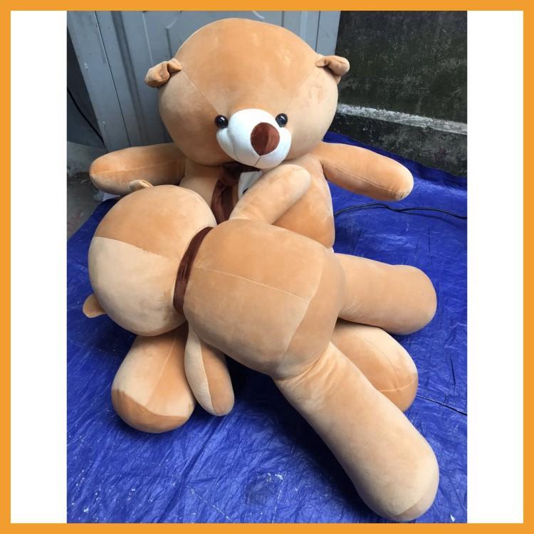 Gấu bông brown to khổng lồ đeo khăn quà tặng người yêu