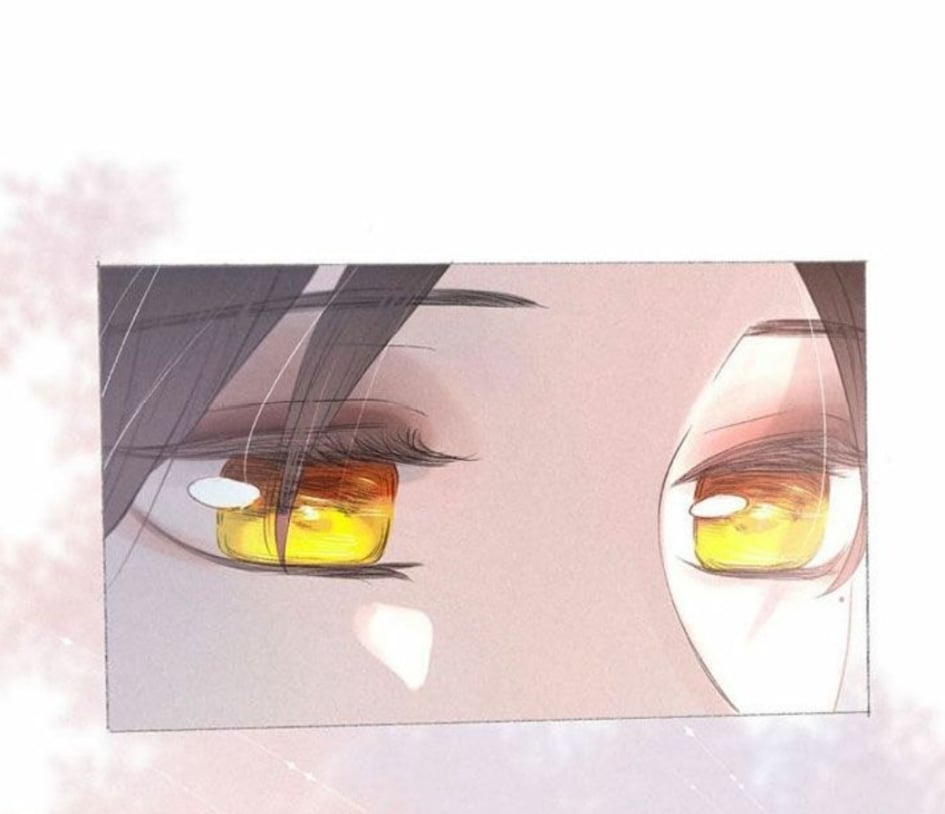 nỗi buồn của hoa cẩm tú cầu chapter 20 22