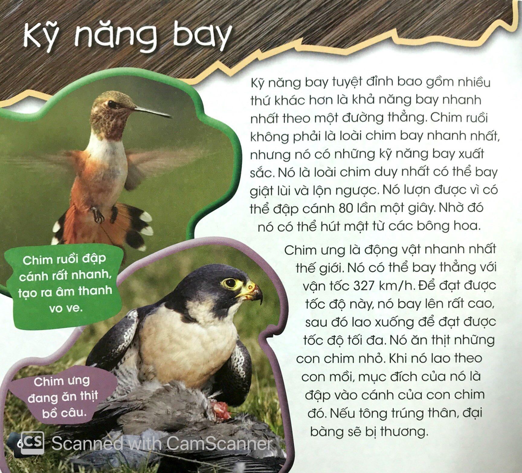 Độc Lạ Phi Thường - Kỹ Năng Tuyệt Đỉnh