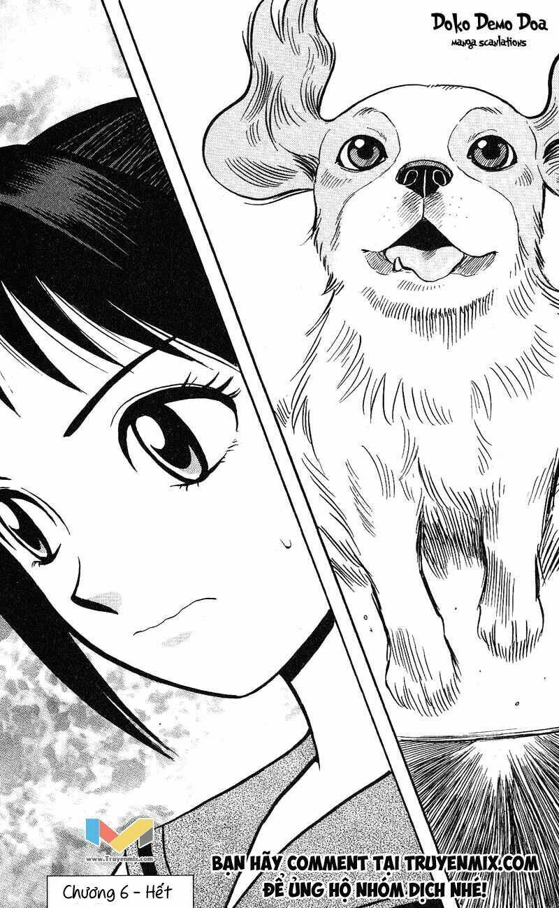 animal sense chapter 6 38