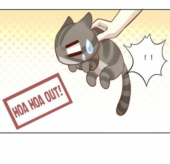 miêu trảo chi hạ chapter 1 32