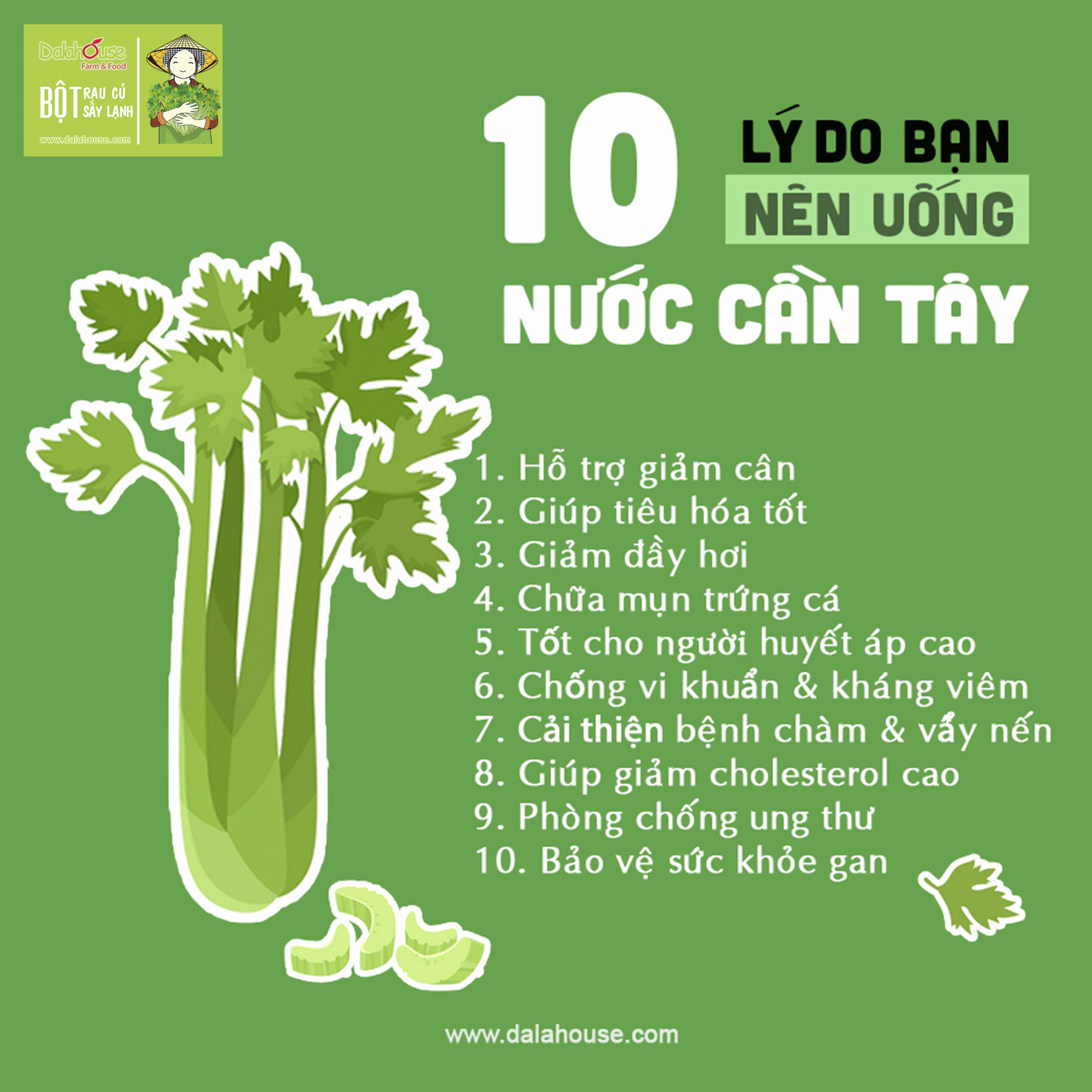 Bột Cần Tây Nguyên Chất Sấy Lạnh Dalahouse - Hỗ Trợ Giảm Cân, Đẹp Da, Thanh Lọc Cơ Thể