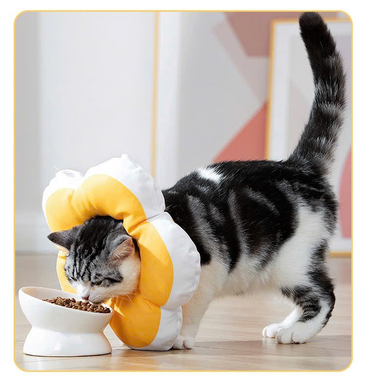 VÒNG CỔ THÚ CƯNG VÒNG CỔ LOA CHỐNG LIẾM CHO THỎ CHÓ MÈO BÔNG HOA DỄ THƯƠNG TỪ 0.5-5.5KG MÃ 10 CHO CHÓ MÈO THỎ