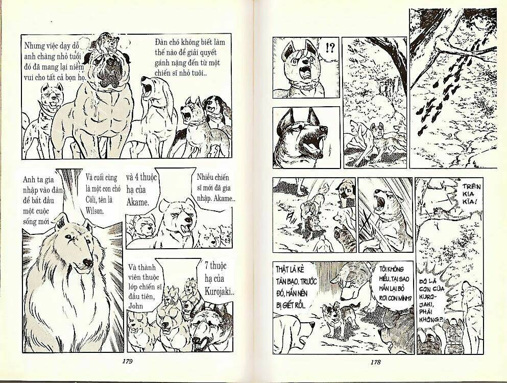 chú chó có nghĩa - ginga nagareboshi gin chapter 21 19