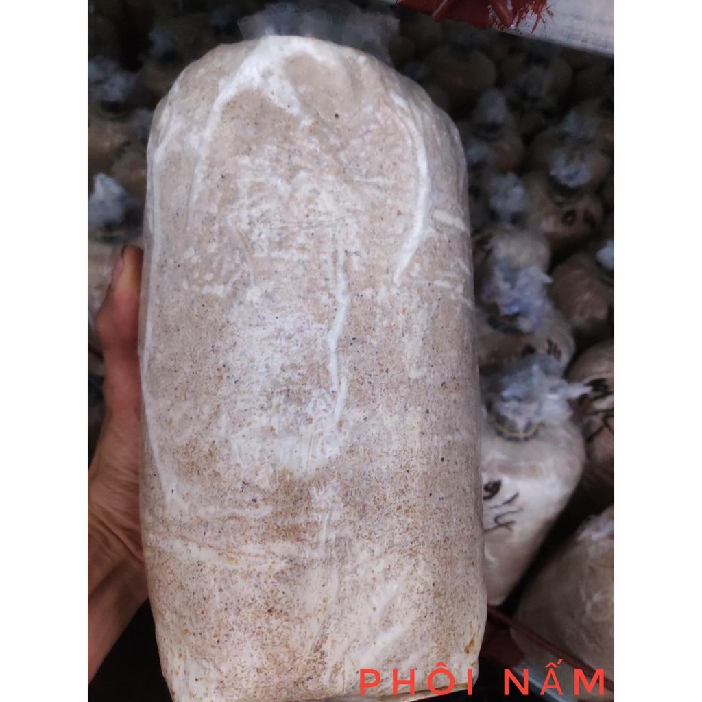 Combo 6 phôi nấm Milky trồng tại nhà