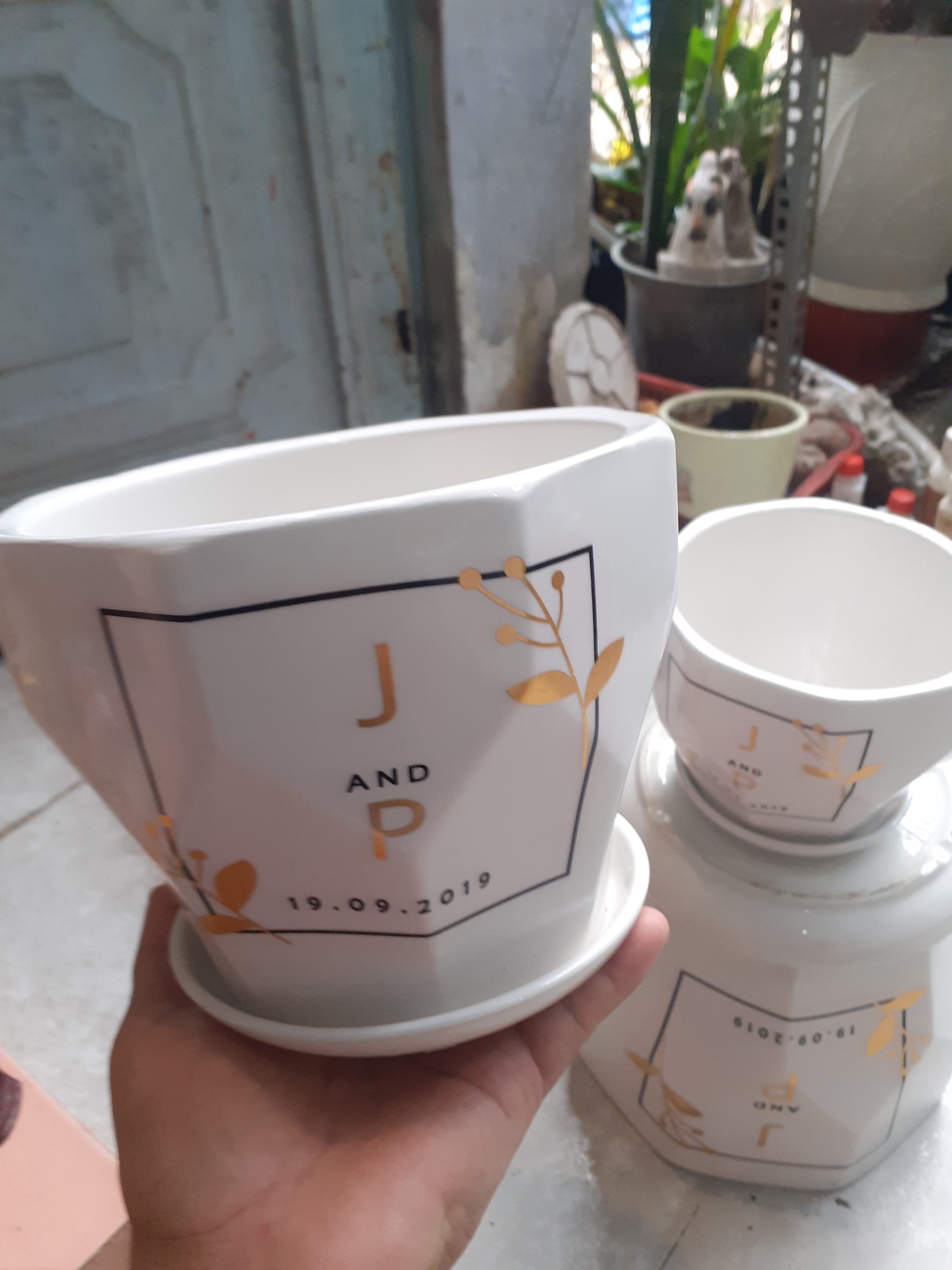 BỘ 3 Chậu kèm dĩa BÁT GIÁC J&P . 1 CHẬU SIZE TRUNG .