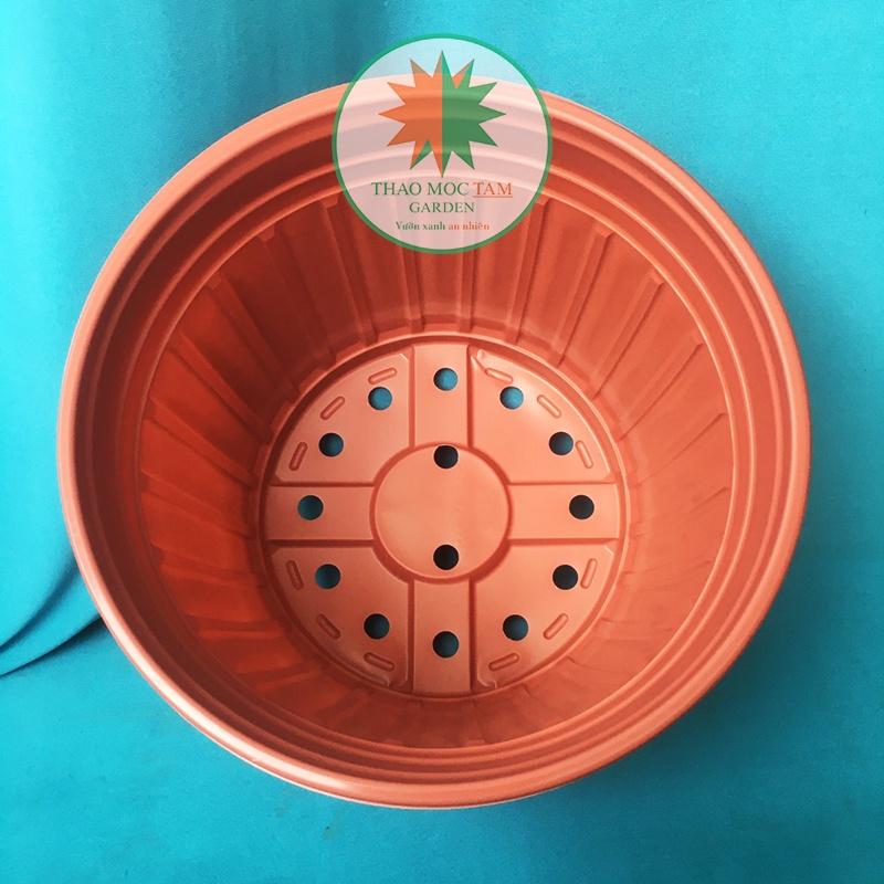 10cái Chậu trồng cây 28x20.5cm - Chậu nhựa trồng hoa, cây kiểng phù hợp các dòng hoa bụi lớn, trồng hoa hồng