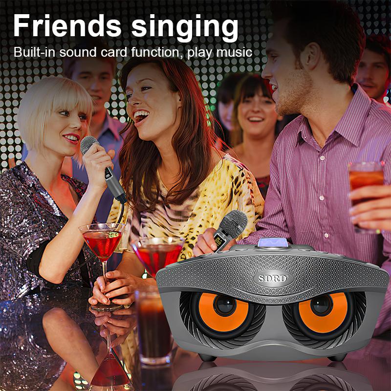 Loa Bluetooth Karaoke SDRD SD 306 Plus Bản Mới Nhất,Kèm 2 Micro Karaoke Không Dây,Chất Lượng âm Thanh Tuyệt Vời