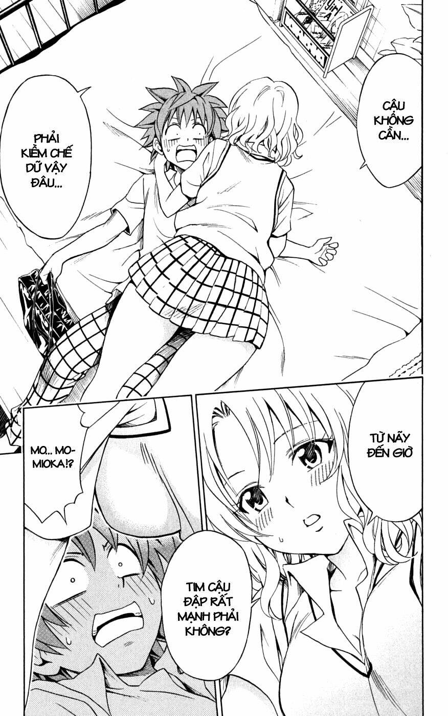 bọn tớ thích cậu! rito chapter 147 15