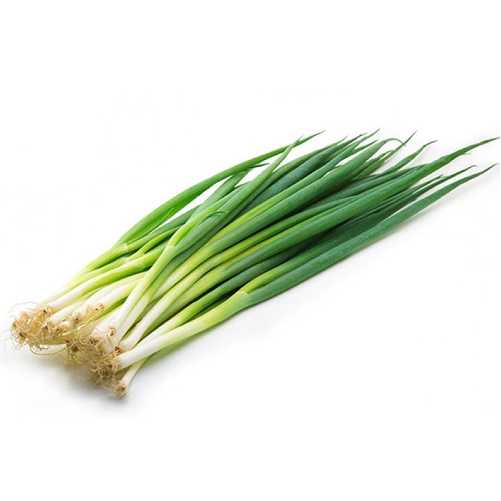 Hạt giống Hành Lá, Dễ Trồng - hat giong hanh la