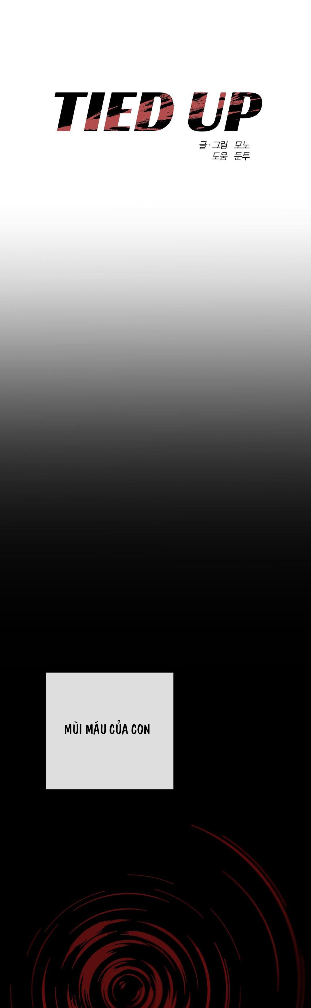 ràng buộc chapter 3.1 13