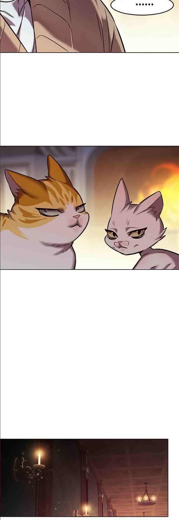 biến thân thành mèo chapter 255 52