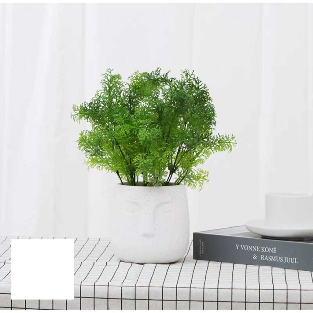 Chậu cây giả để bàn học, bàn làm việc, kệ tủ decor trang trí nhà cửa, văn phòng công ty, nhà hàng xanh mát CG-01