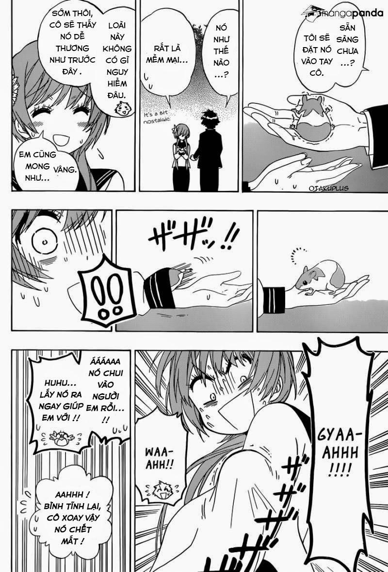 nisekoi - tình yêu giả tạo chapter 142 16