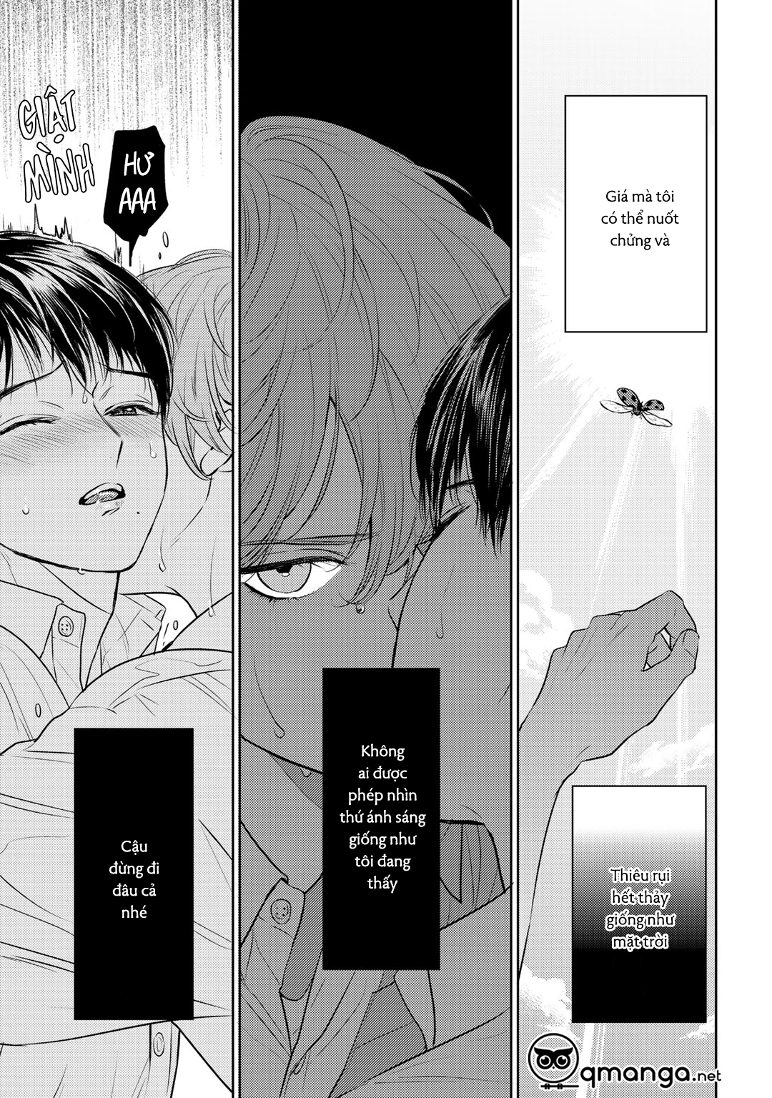 bọ rùa tháng sáu chapter 5 6