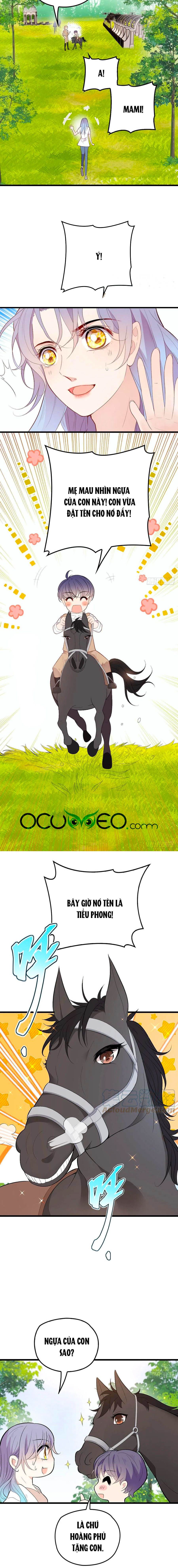 một vợ yêu, một bé con chapter 102 5