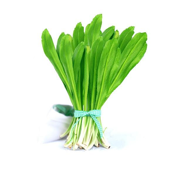 Hạt Giống Ngò Gai gói 5gr, hat giong rau sach thuy canh