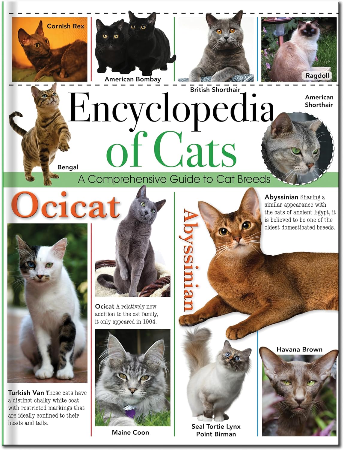 Encyclopedia of Cats (128pp Omnibus)