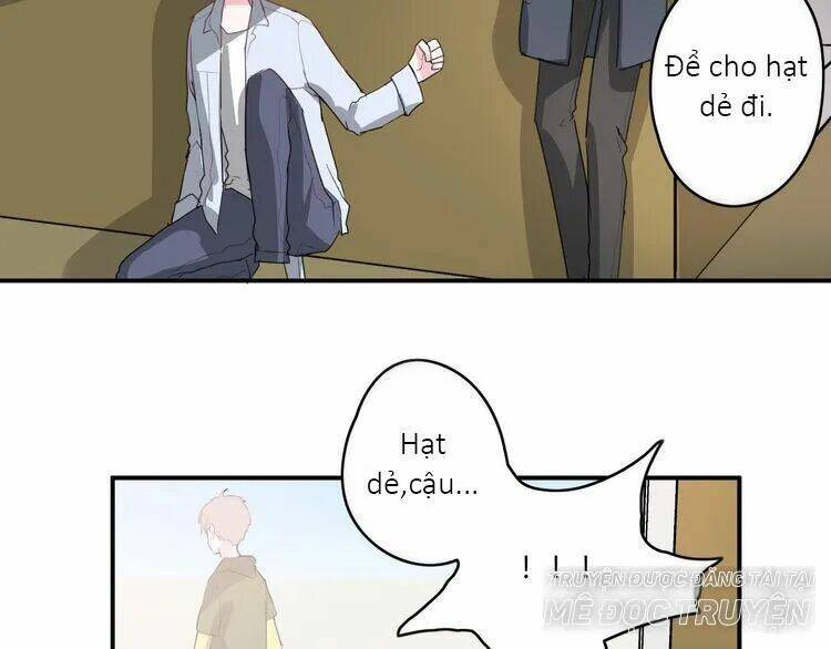 quy tắc của mỹ nam chapter 45 56