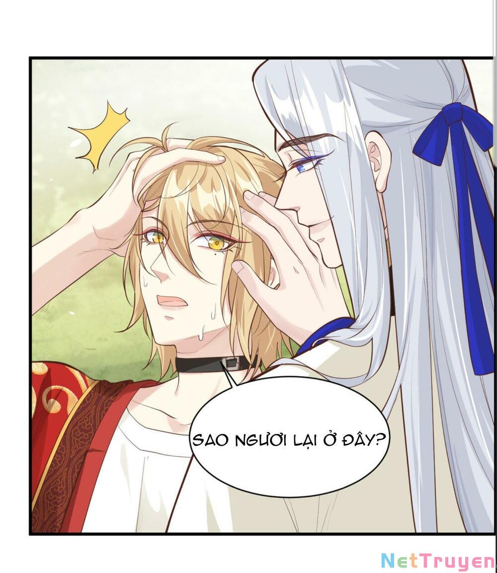 chàng vú em tu chân chapter 52 23