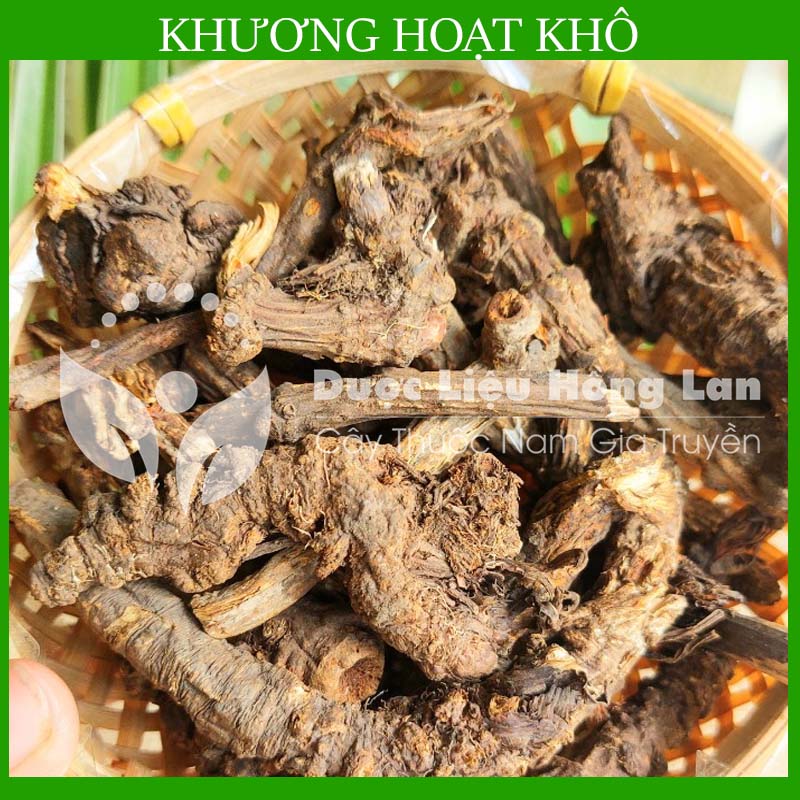 [THƯỢNG HẠNG] 100g Khương Hoạt khô đẹp loại 1