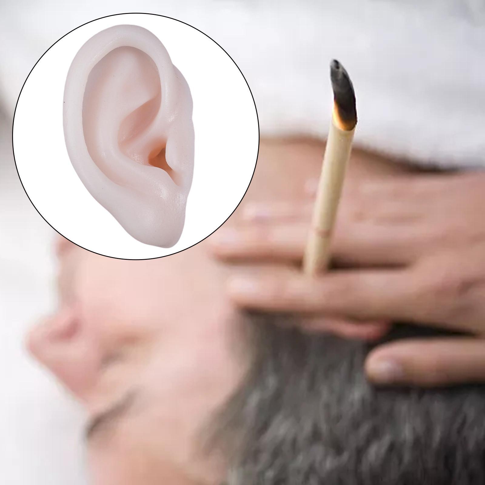 Ear Model, Soft Silicone, Props Teaching Tools Acupuncture Practice Model for Educational