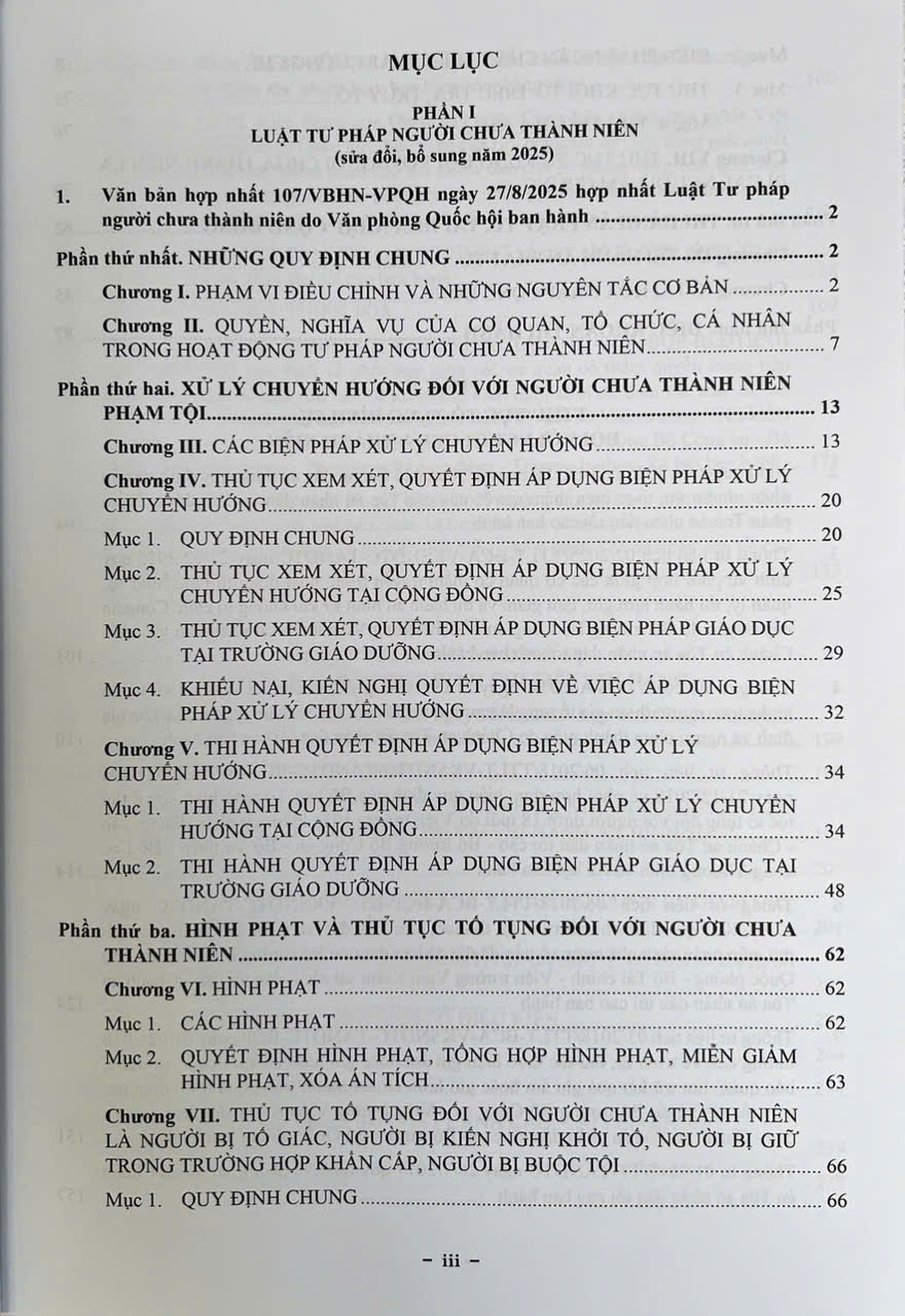 Luật Tư Pháp Người Chưa Thành Niên ( Sửa Đổi, Bổ Sung Năm 2025)