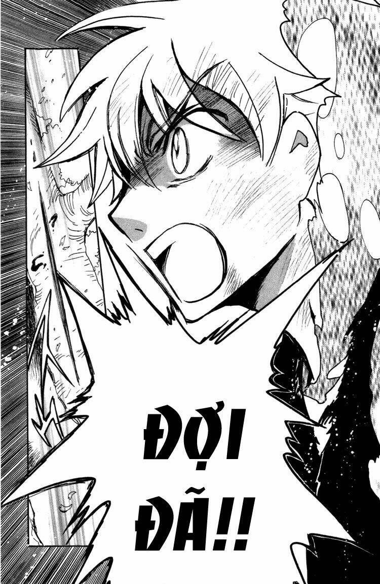huyền thoại đôi cánh chapter 179 19