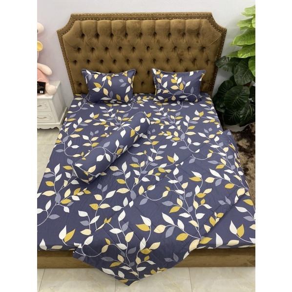 Sét chăn hè 5 món cotton 100%