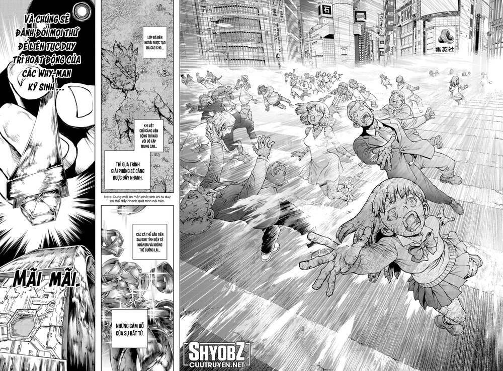 dr.stone - hồi sinh thế giới chapter 229 10