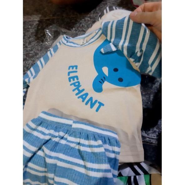 Bộ len tăm phối cotton cho bé 6-14kg