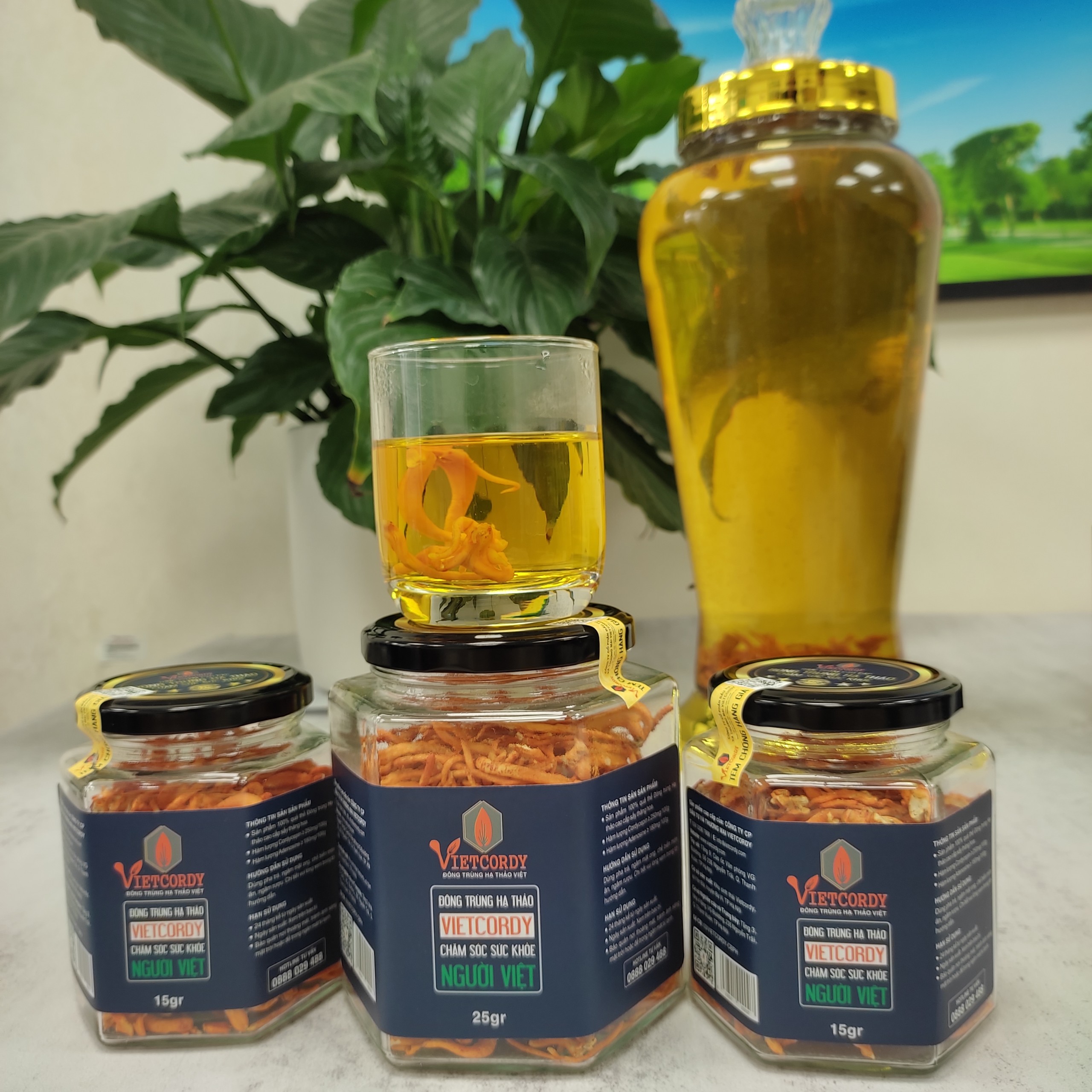 COMBO ĐÔNG TRÙNG HẠ THẢO CAO CẤP 2 HŨ * 15GR