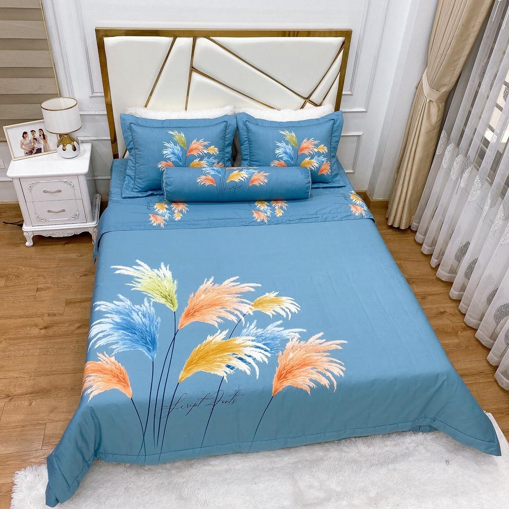 Bộ Ga Phủ Cotton Living