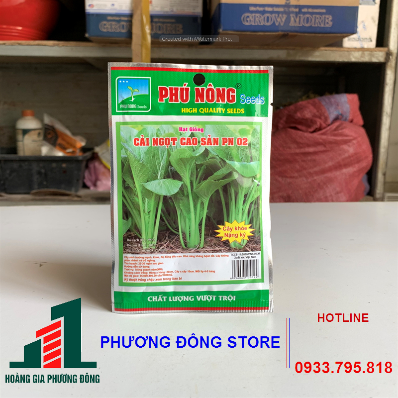 Combo 5-10 gói hạt giống Cải ngọt  nảy mầm cao, kháng bệnh tốt
