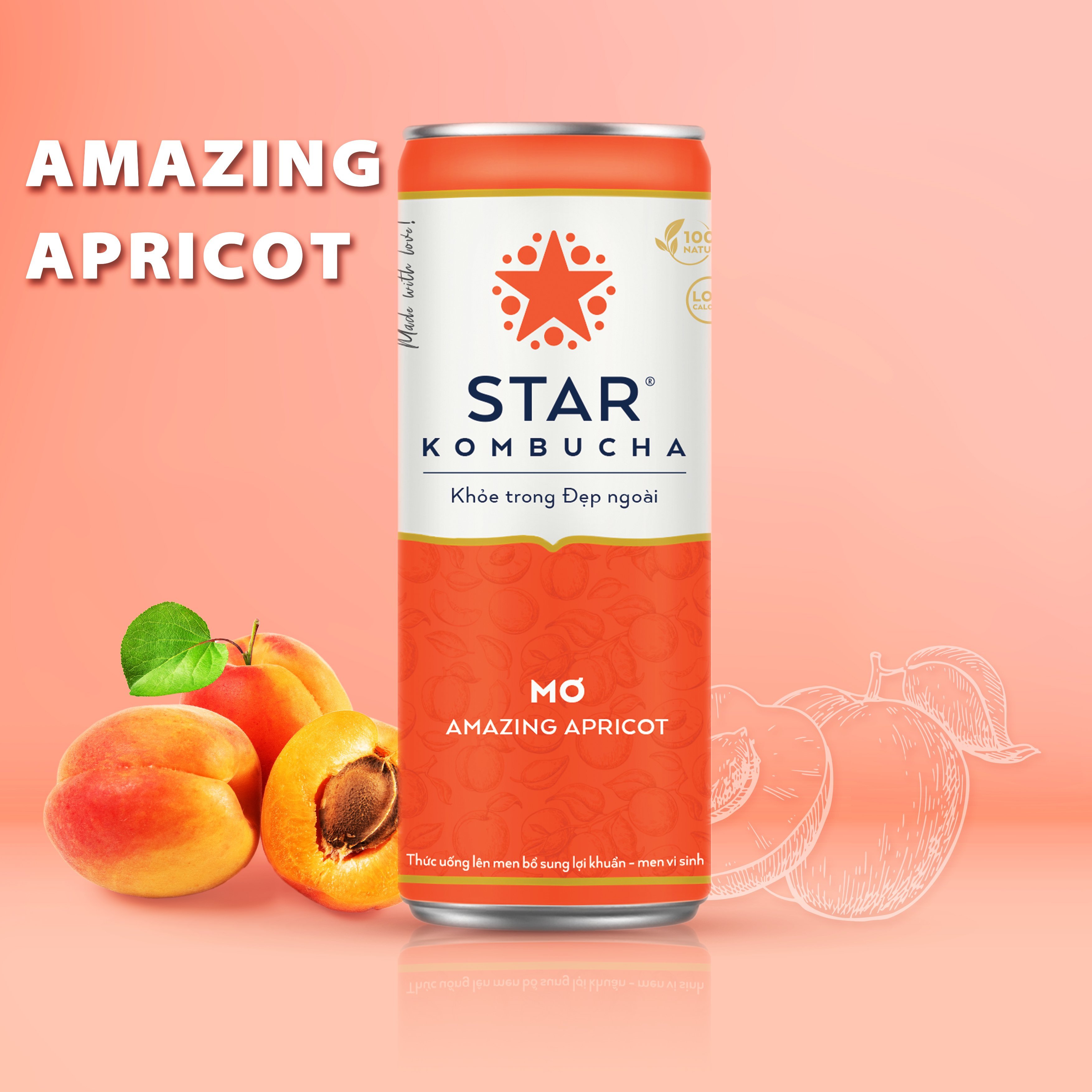 Thùng 12 lon thức uống lên men STAR KOMBUCHA Mơ/ Amazing Apricot (250ml/lon) Bật