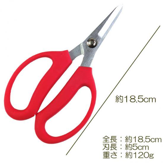 Kéo Cắt Hoa Nhật Bản BABACHO: BH-1/ 185mm, BH-2/195mm, BH-3/170m | Lưỡi Thép Không Gỉ | Cán Nhựa ABS